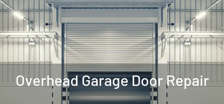  Overhead Garage Door Repair 